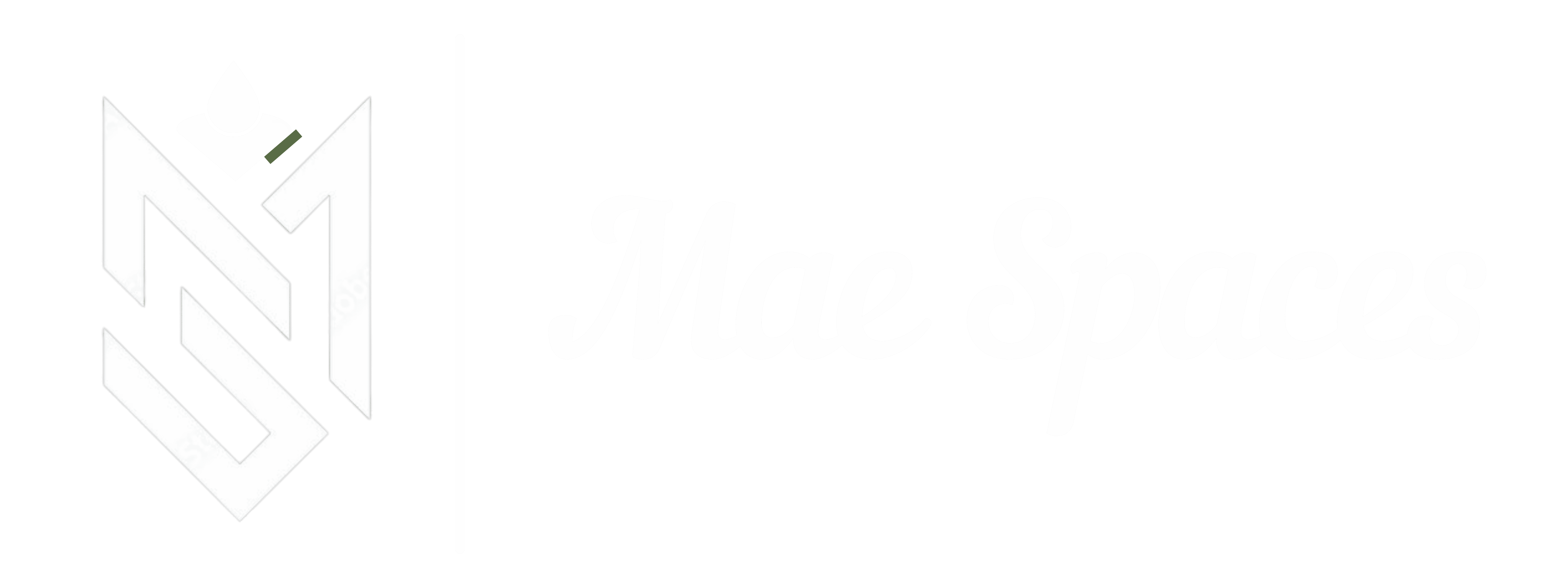 MAE Logo